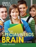 Special needs Brain